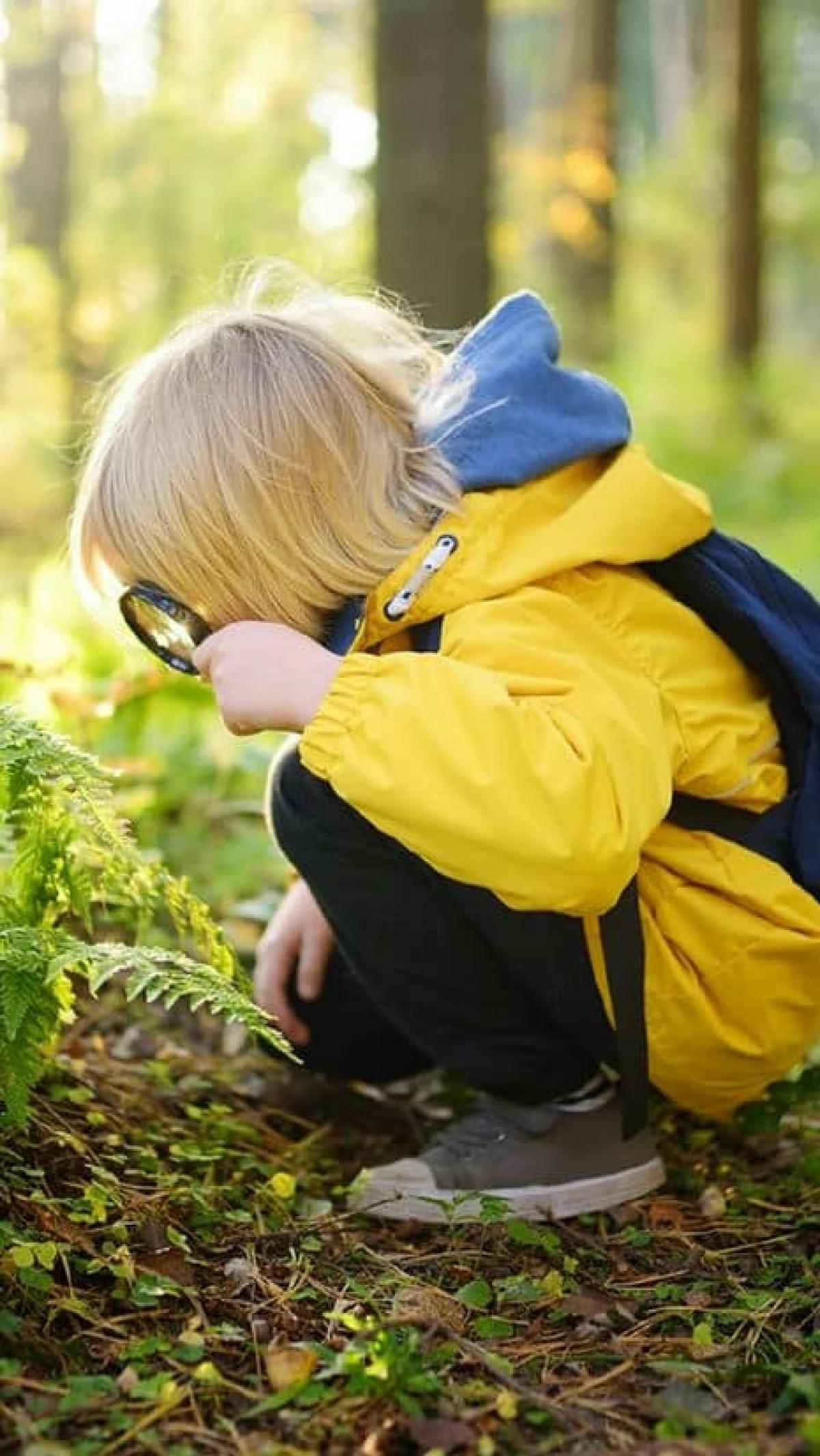 dziecko z lupą w lesie