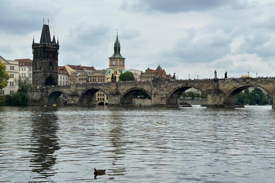 WhatsApp Image 2025-12-04 11_10x15.jpeg