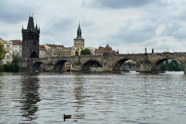 WhatsApp Image 2025-12-04 11_10x15.jpeg