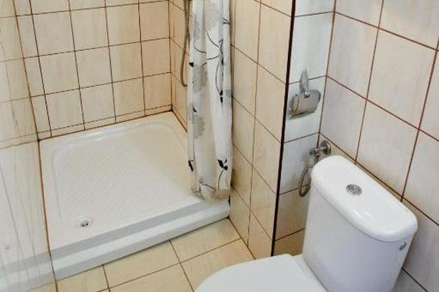 99551247.jpg