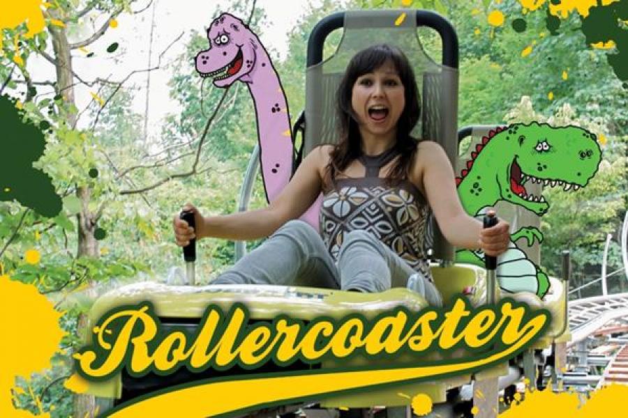 rollercoster web (Copy).jpg